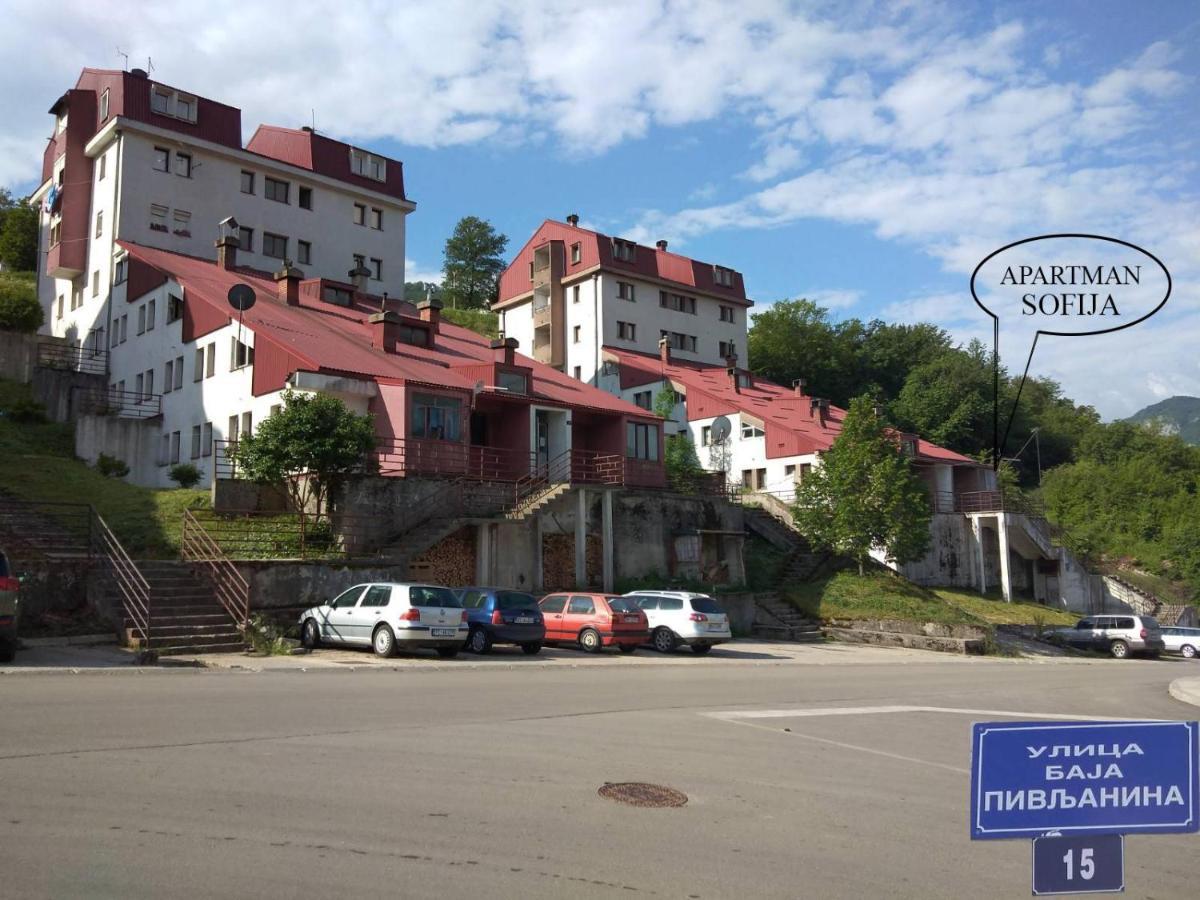 Apartman Sofija Plužine Esterno foto
